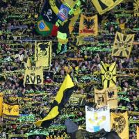 BVB: Stüker, Walleit und ihre 150 Schäfchen