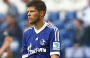 Schalke: Stimmen zum Spiel gegen den HSV