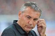 Dresden: Trainer Pacult gefeuert 