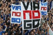 Schalke vs. Viagogo: S04 klagt auf Schadensersatz