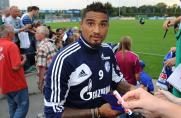 Boateng auf Schalke: Fans haben keine Vorbehalte