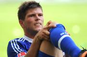 Schalke: "Hunter"-Comeback in Mainz?