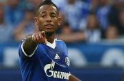 Schalke 04: Aogo fand's "sensationell"