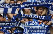 Schalke: Fan-Initiative tritt aus Fan-Club Verband aus