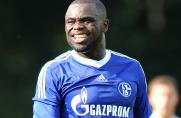 Schalke: Ohne Asamoah gegen Bukarest