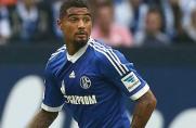 Schalke. Peters entschuldigt sich bei Boateng