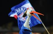 Holstein Kiel: Verletzungspech nimmt kein Ende