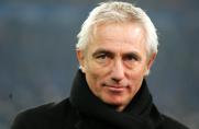 HSV: Gerüchte um van Marwijk verdichten sich