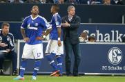 Schalke: Einzelkritik vom Spiel gegen Bayern