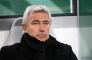 Medien: Van Marwijk bestätigt Wechsel zum HSV