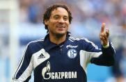 FC Schalke 04: Jones zurück im Kader