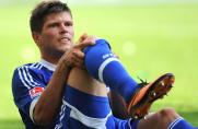 Schalke: Weiter warten auf Huntelaar