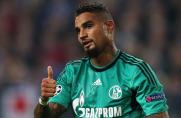 Schalke: Tönnies sieht Boateng als Risiko für Gegner