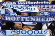 Hoffenheim: TSG holt schwedischen Nationalspieler Hamad