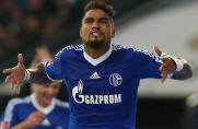 Schalke: Einzelkritik zum Spiel gegen Bremen