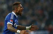 Schalke: Boateng köpft Schalke zum Sieg