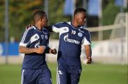 Schalke: Goretzka und Obasi wieder im Mannschaftstraining