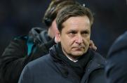 Schalke: Heldt rudert bei Streit mit ZDF zurück