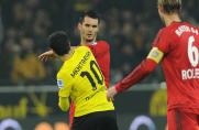 Bayer Leverkusen: Spahic drei Wochen gesperrt