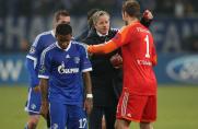 Schalke: Stimmen zum Spiel gegen Basel