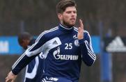 Schalke: Huntelaar vor dem Comeback