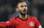 Bayer Leverkusen: Toprak bleibt bis 2018