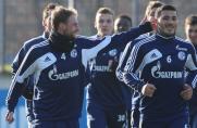 Schalke: Höwedes ersetzt Uchida