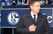 Schalke: Heldt neidisch auf Wolfsburg