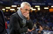 1. Liga: HSV im freien Fall - van Marwijk am Ende?