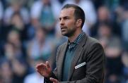 Eintracht Frankfurt: Babbel Favorit auf Veh-Nachfolge