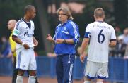 Youth League: Chelsea gegen Schalke terminiert