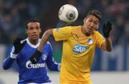 Schalke: Was geht mit Hoffenheims Firmino?