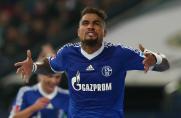 Schalke: Nationalspieler wieder zurück