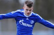 Schalkes U19: Elgert wechselt den Sieg ein