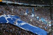 Gewinnspiel: 4x2 Karten für Schalke gegen Frankfurt