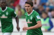 3:1 gegen Hoffenheim: Bremen vor Klassenerhalt