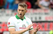 VfL Wolfsburg: Allofs holt Werder-Urgestein