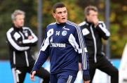 Schalke: "Papa" zurück nach Griechenland?