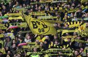 3. Liga: BVB-Invasion in Erfurt