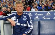 Trotz Leverkusen-Angebot: Hermann bleibt Schalke treu