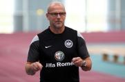 Profi-Fußball: Schaaf kritisiert Hype um Stars