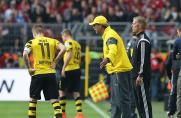 BVB - Leverkusen: "Hätte man nicht schöner malen können"