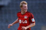 Bayer Leverkusen: Brandt mit Außenbandriss