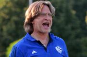 U19: Schalke ist verdienter Derby-Sieger