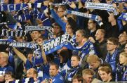 Bielefeld - Erfurt: Arminia siegt im Spitzenspiel