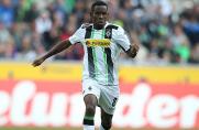 Pokal: Favres Fohlen jagen Weisweiler-Rekord 