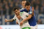 Schalke 04: Vieirinha kommt vielleicht, Sansone nicht