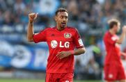 Leverkusen: Bayer bindet Bellarabi