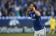 Twitter-Gewitter #S04TSG: Fuchs' beste zwölf Minuten der Karriere...