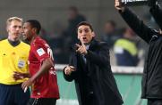 Tayfun Korkut, Hannover 96